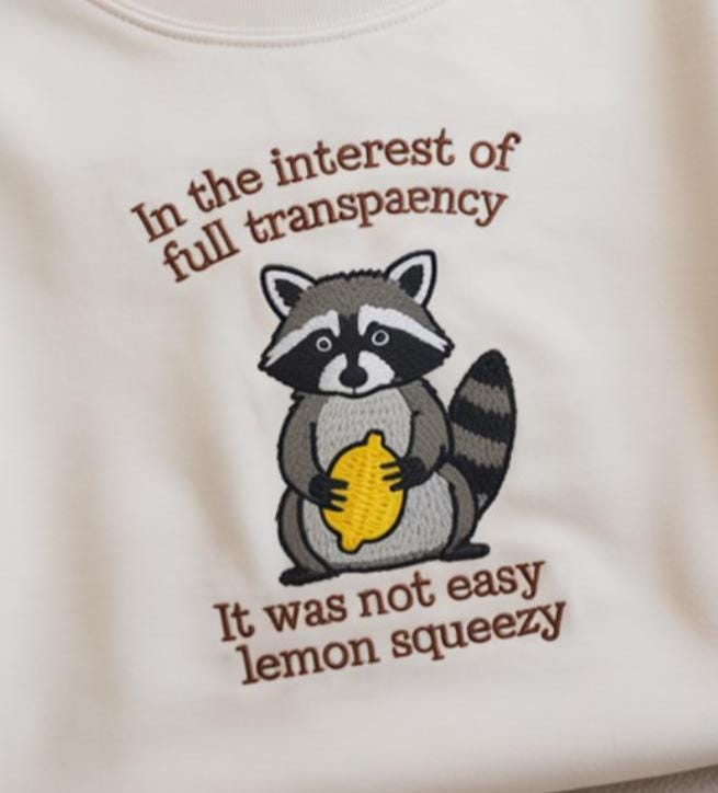 In The Insterest Of Full Transparency Embroidered Sweatshirt, Funny Raccoon Hoodie, Retro Raccoon Shirt, Sarcastic Sweatshirt, Funny Gift
