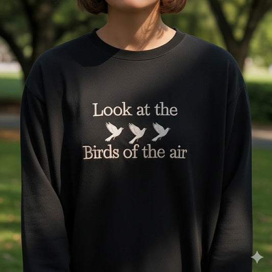 Look at the Birds Christian T-Shirt, Comfort Colors Bible Verse Tee, Matthew 6 Faith Shirt