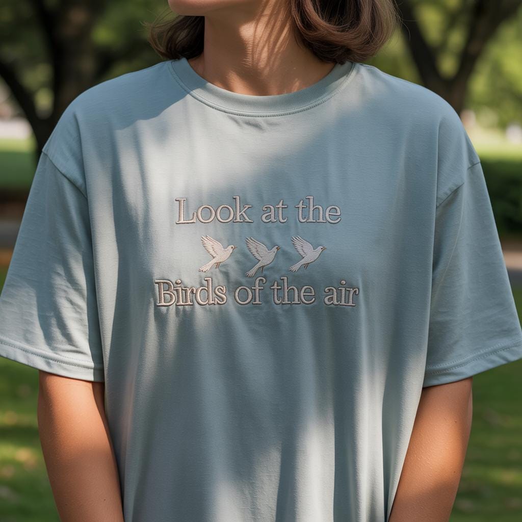 Look at the Birds Christian T-Shirt, Comfort Colors Bible Verse Tee, Matthew 6 Faith Shirt