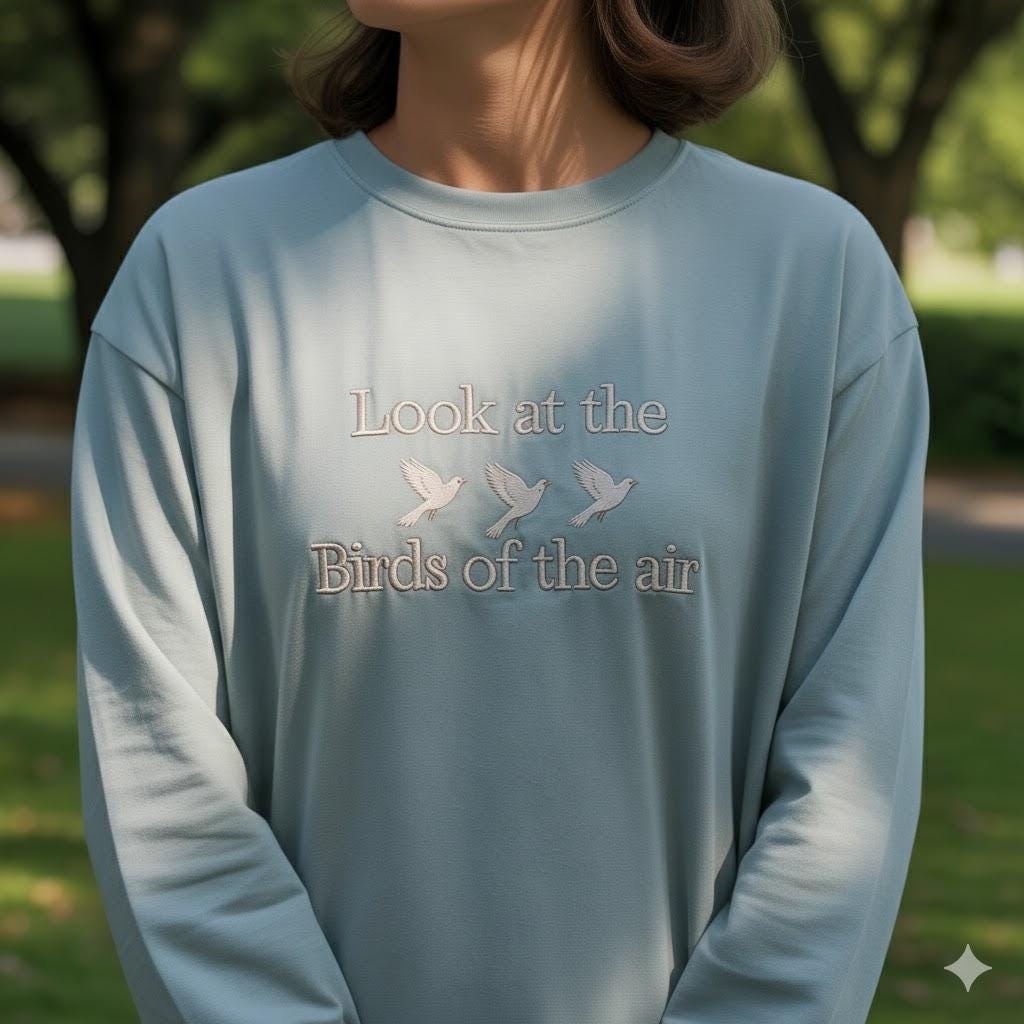 Look at the Birds Christian T-Shirt, Comfort Colors Bible Verse Tee, Matthew 6 Faith Shirt