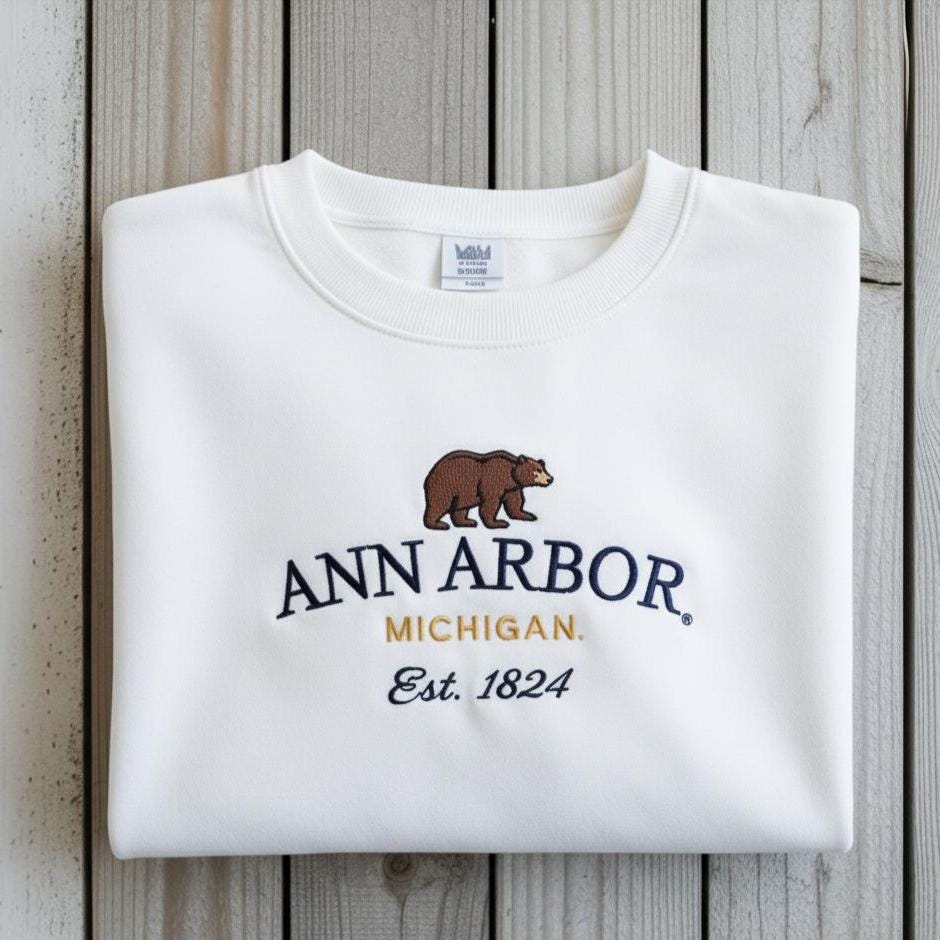 Ann Arbor Embroidered Sweatshirt | Vintage Michigan Crewneck | Cozy College Town City Sweater