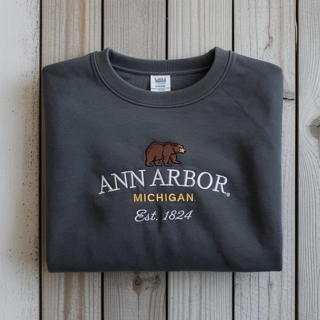 Ann Arbor Embroidered Sweatshirt | Vintage Michigan Crewneck | Cozy College Town City Sweater