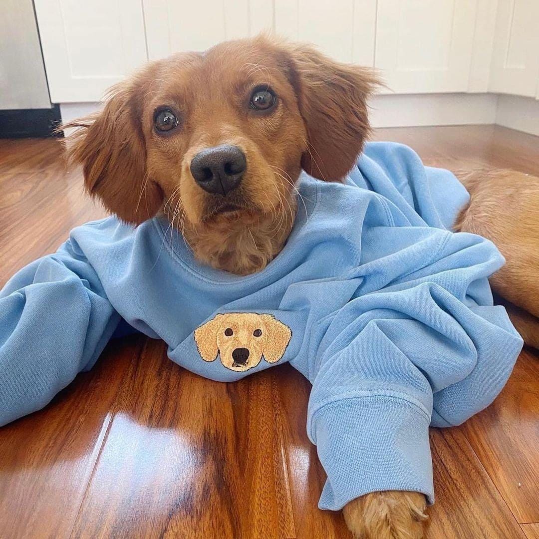 Custom Dog Face Embroidered Sweatshirt, Cat Sweatshirt, Dog Lover Sweatshirt, Personalized Gift For Mom, Custom Pet Gift