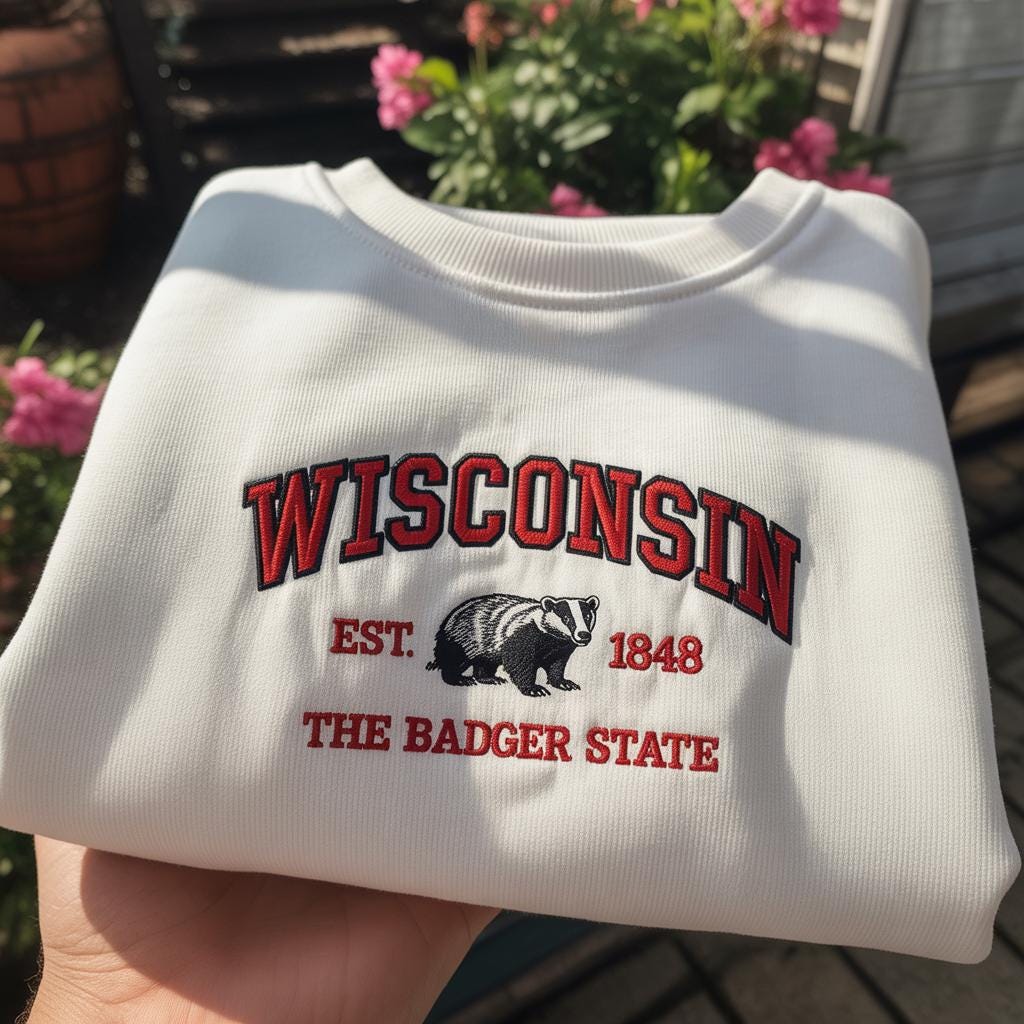 Wisconsin The Badger State Embroidered Sweatshirt, Vintage Wisconsin Crewneck, Wisconsin State Pride Shirt, Midwest Travel Gift