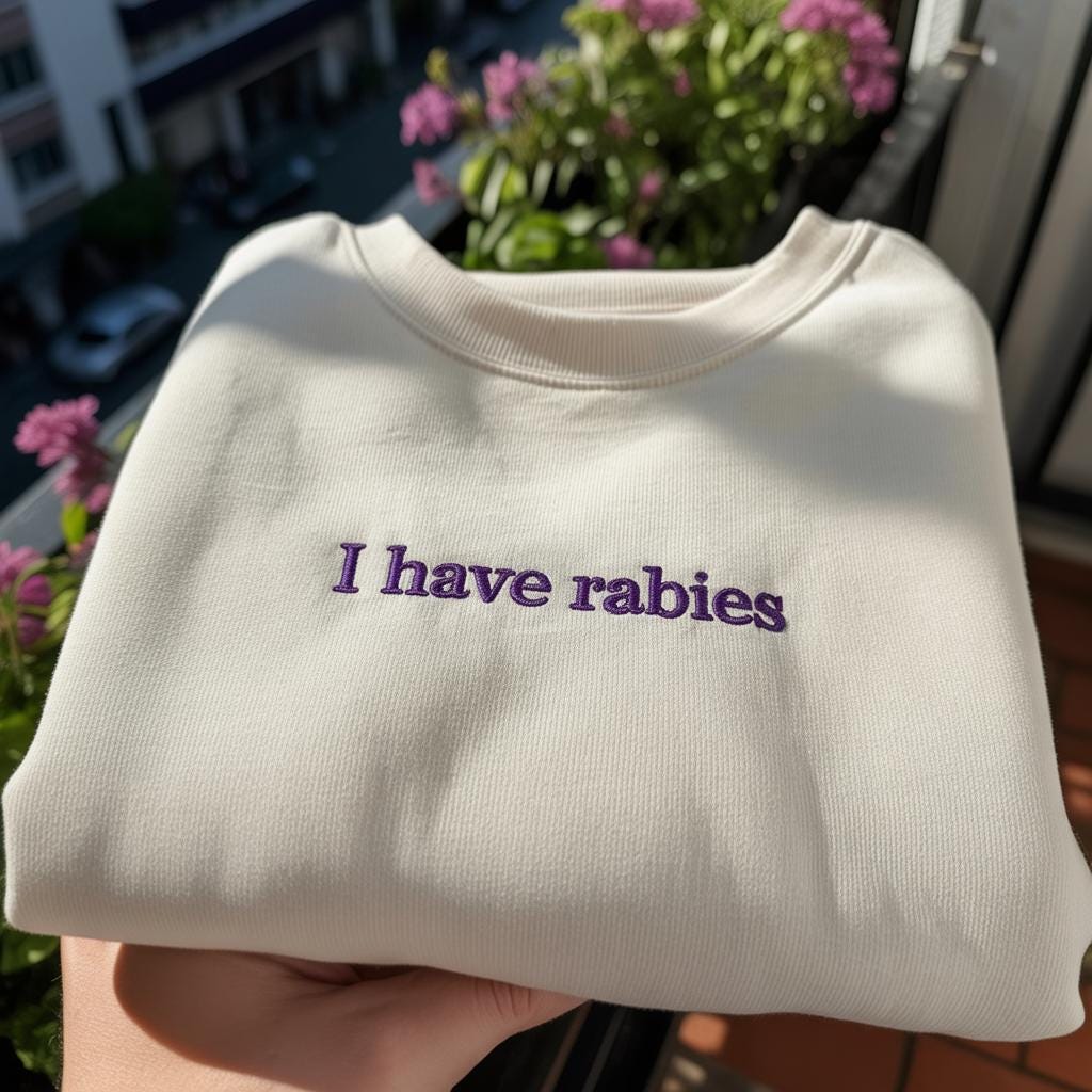 I Have Rabies Embroidered Sweatshirt, Funny Ironic Humor Crewneck, Weirdly Specific Quote Shirt, Aesthetic Minimalist Pullover